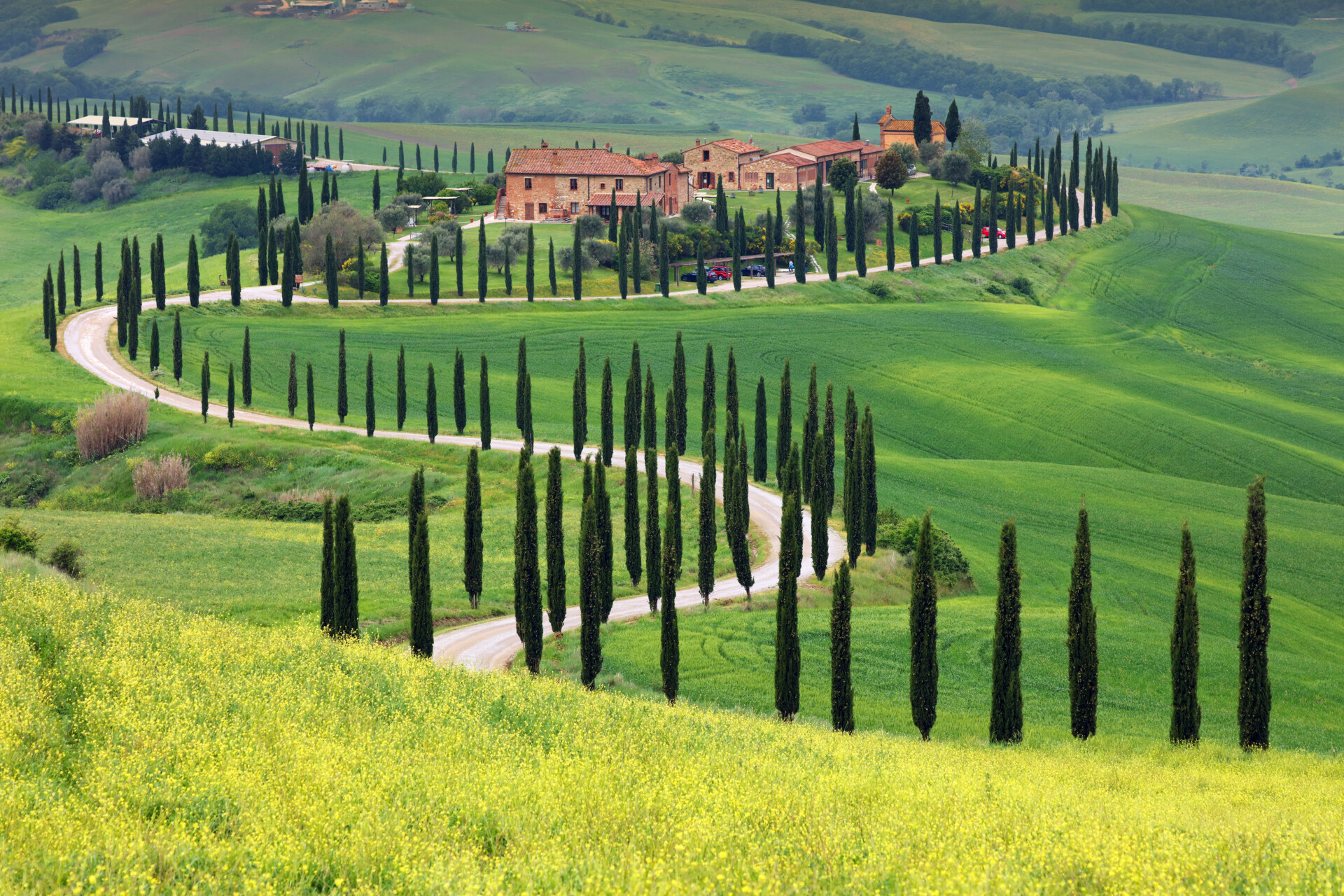 Eine kurvenreiche, von hohen Zypressen gesäumte Straße führt zu rustikalen Steinhäusern an einem üppig grünen Hang in der toskanischen Landschaft, Italien - perfekt für eine Bella Italia-Degustation unter einem leicht bewölkten Himmel.
