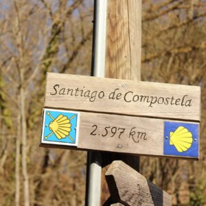 Ein hölzerner Wegweiser mit der Aufschrift Santiago de Compostela und 2.597 km, verziert mit gelben Muschelschalensymbolen, markiert den Jakobsweg vor einer Kulisse aus blattlosen Bäumen.