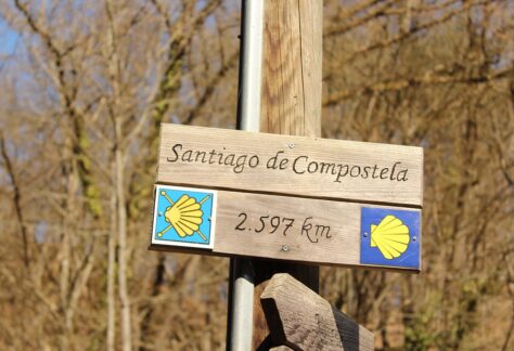 Ein hölzerner Wegweiser mit der Aufschrift Santiago de Compostela und 2.597 km, verziert mit gelben Muschelschalensymbolen, markiert den Jakobsweg vor einer Kulisse aus blattlosen Bäumen.