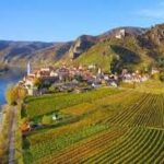 Luftaufnahme eines kleinen Weinlanddorfs mit roten Dächern an der Donau, umgeben von grünen und gelben Weinbergen und Hügeln im Hintergrund unter einem klaren blauen Himmel.