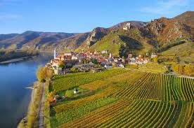 Luftaufnahme eines kleinen Weinlanddorfs mit roten Dächern an der Donau, umgeben von grünen und gelben Weinbergen und Hügeln im Hintergrund unter einem klaren blauen Himmel.