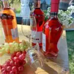 Drei Flaschen Roséwein aus dem Weinland, zwei Weingläser, dekorative grüne und rote Weintrauben und weiße Blumen auf einem Holztisch im Freien - perfekt für Ihre Think Pink Feier am 18.09.2026 mit Grünzeug und Bannern im Hintergrund.